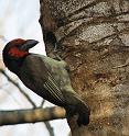 IMG_0629