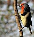 IMG_4476